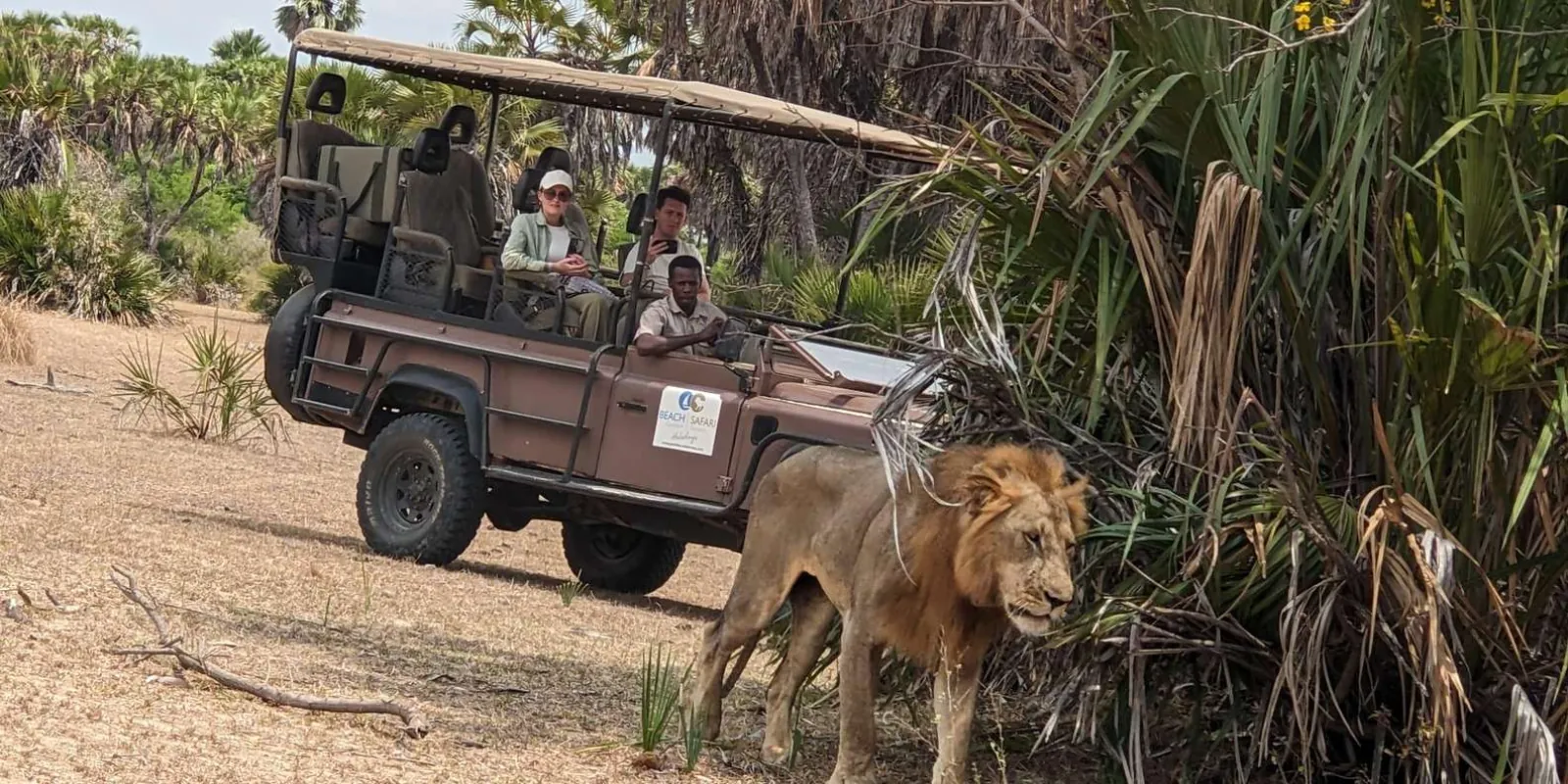 Mikumi Day Safari from Zanzibar with Flights & Lunch