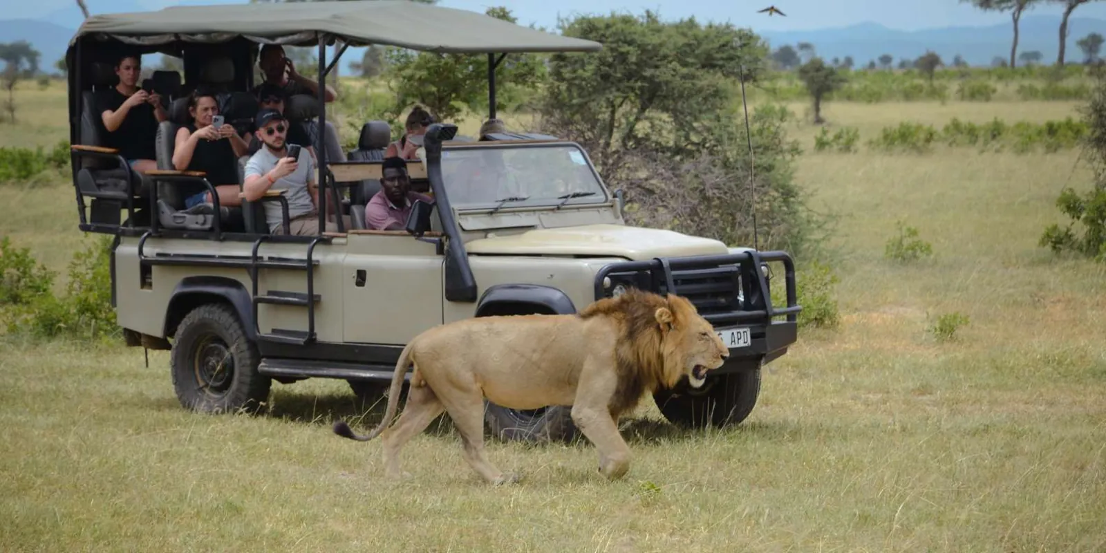 Mikumi Full-Day Safari from Zanzibar in an Open 4x4