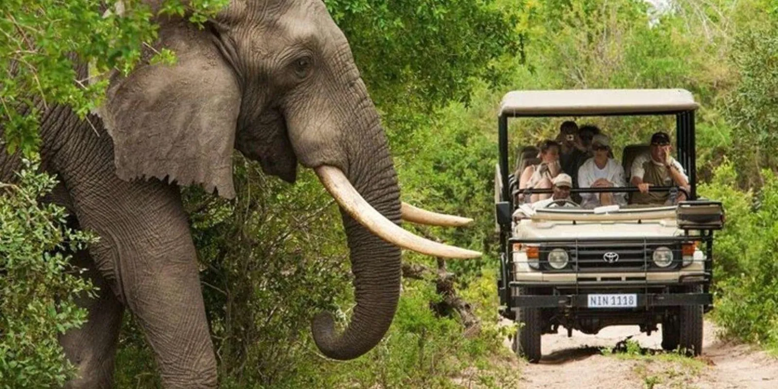 Zanzibar to Mikumi: 3-Day Safari with Maasai Village Visit