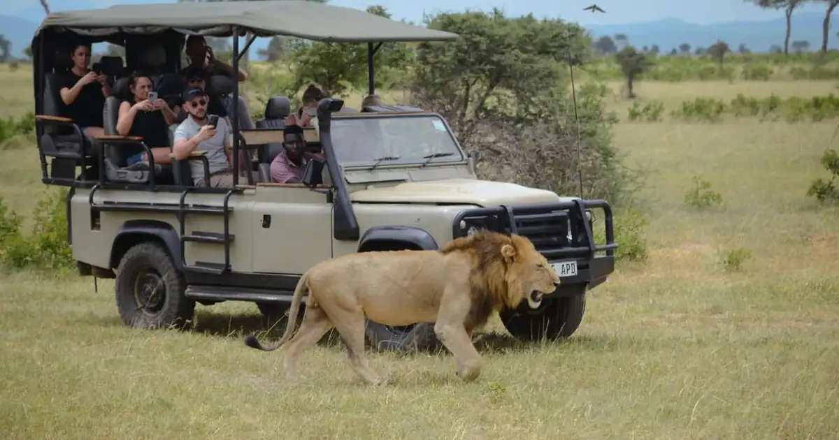 Open 4x4 safari vehicle and guests on a Mikumi day safari from Zanzibar
