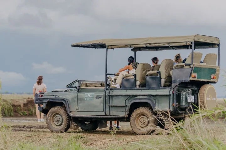 1-Day Mikumi National Park Fly-In Safari from Zanzibar — photo 2